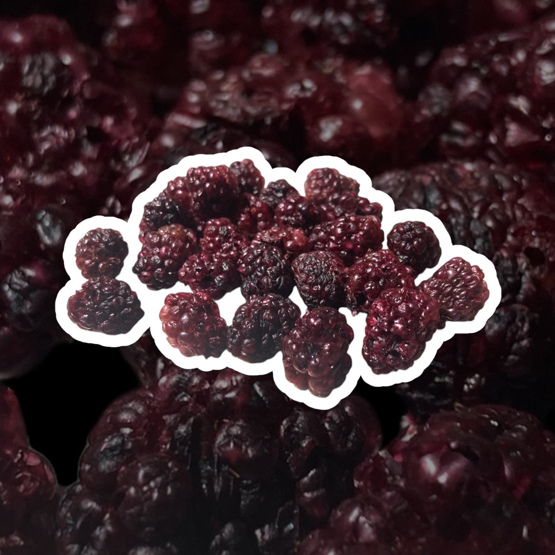 Moras